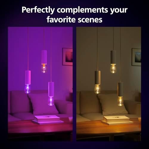 Philips Hue Lightguide ST70 Smart Bulb – White & Color