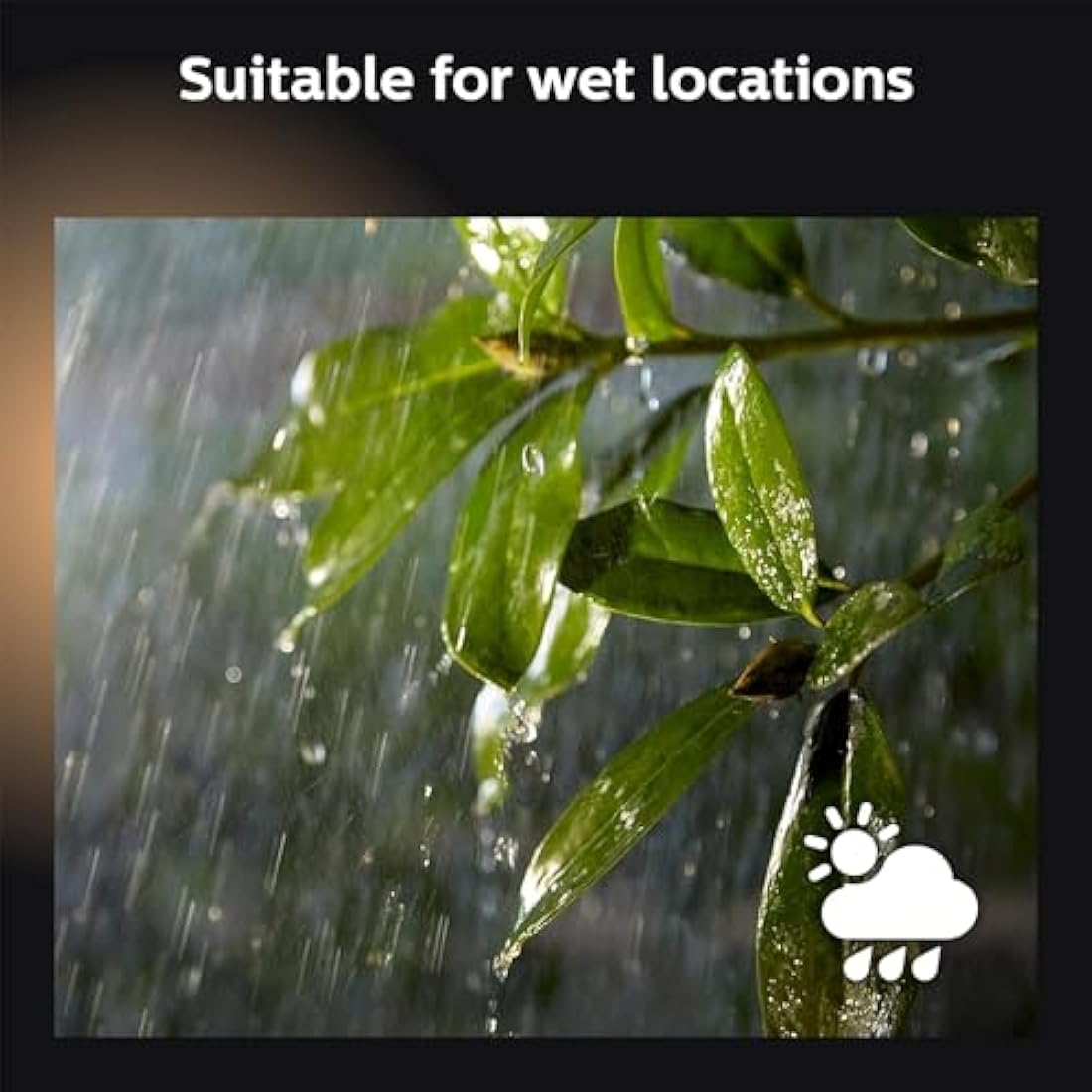 Philips Hue Impress White and Colour Ambiance Pedestal Low Voltage. For Outdoor Lighting, Patio, Terrace, Garden.