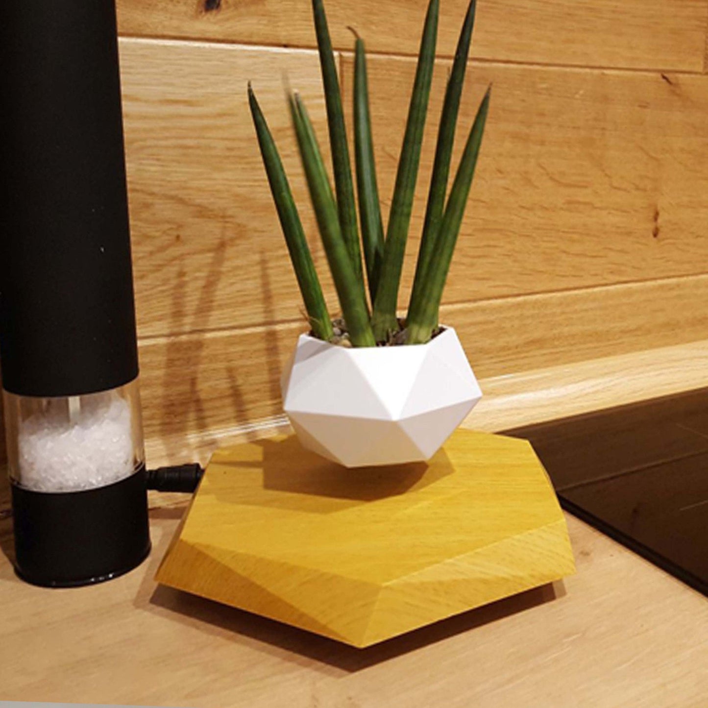 Floating Magnetic Levitating Flower Pot – Unique Home Decor