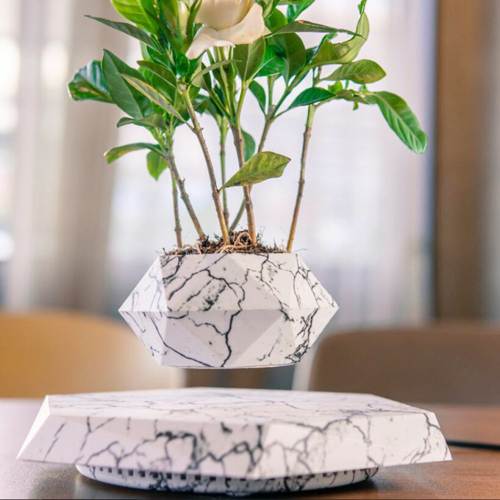 Floating Magnetic Levitating Flower Pot – Unique Home Decor